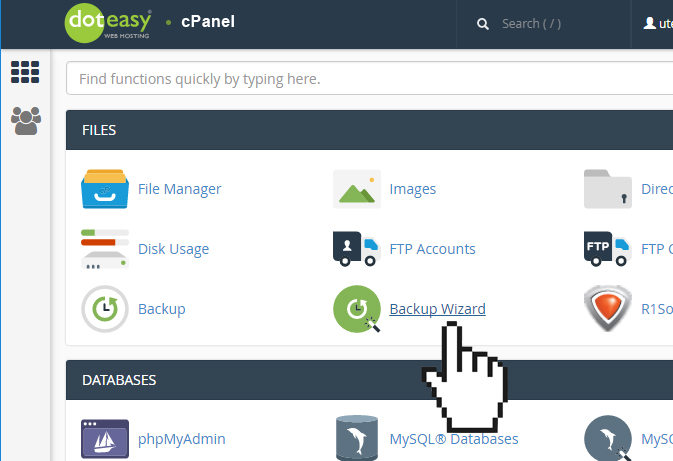 cPanel backup wizard