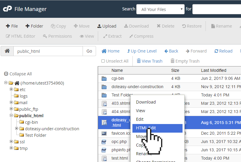 Cpanel File Manager Html Editor Doteasy Web Hosting