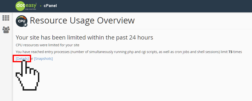 cPanel concurrent usage details