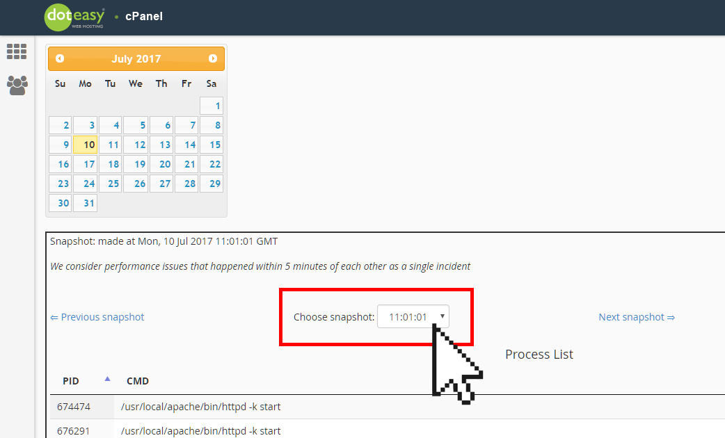cPanel concurrent usage select specific time
