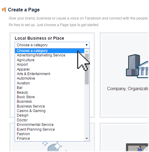 Facebook page category